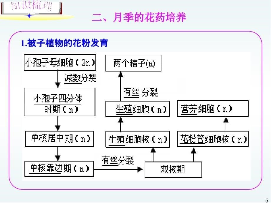 月季的花药培养_第5页