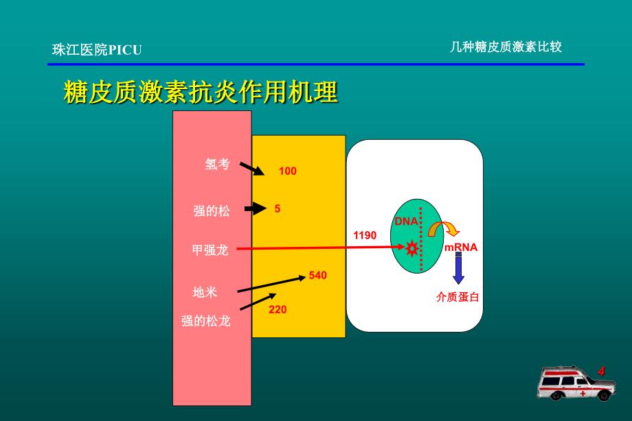 几种激素比较_第4页