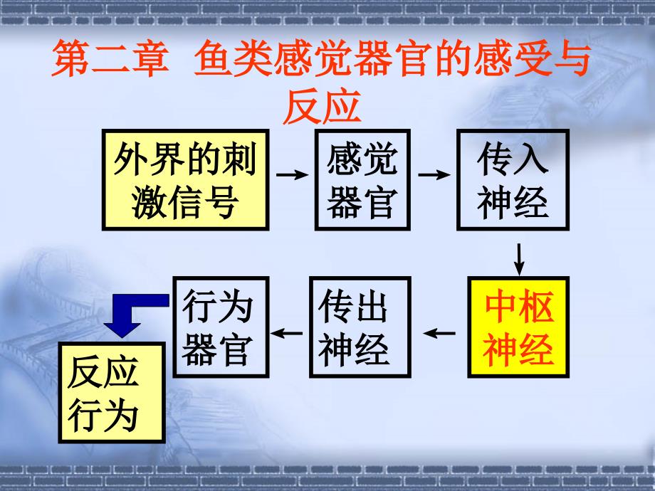 第二章 感觉器官_第1页