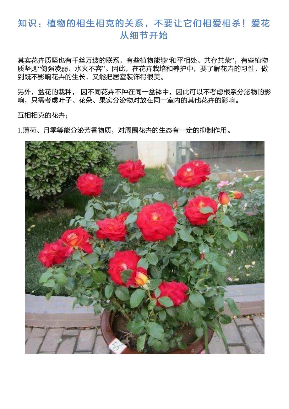 知识：植物的相生相克的关系,不要让它们相爱相杀!爱花从细节开始_第1页