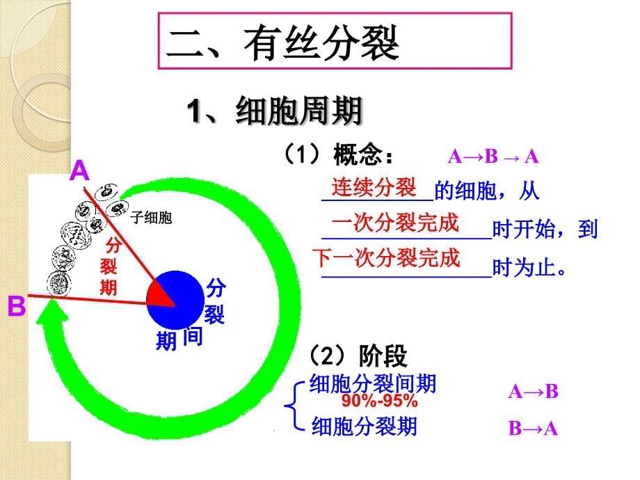 生物：6.1《细胞的增殖》课件(新人教版必修1)(1)_第5页