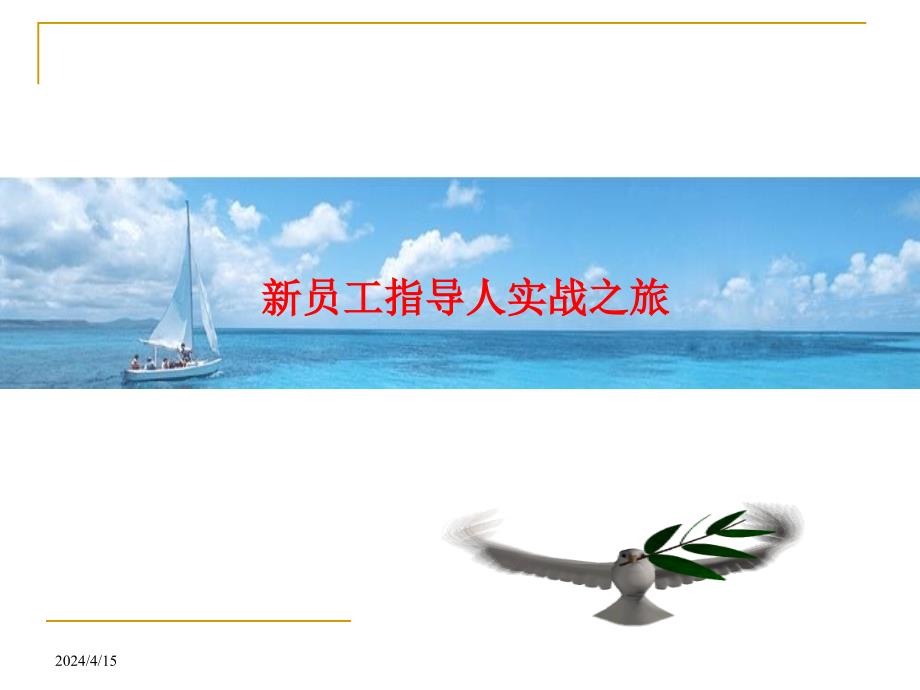 新员工指导人实战之旅_第1页