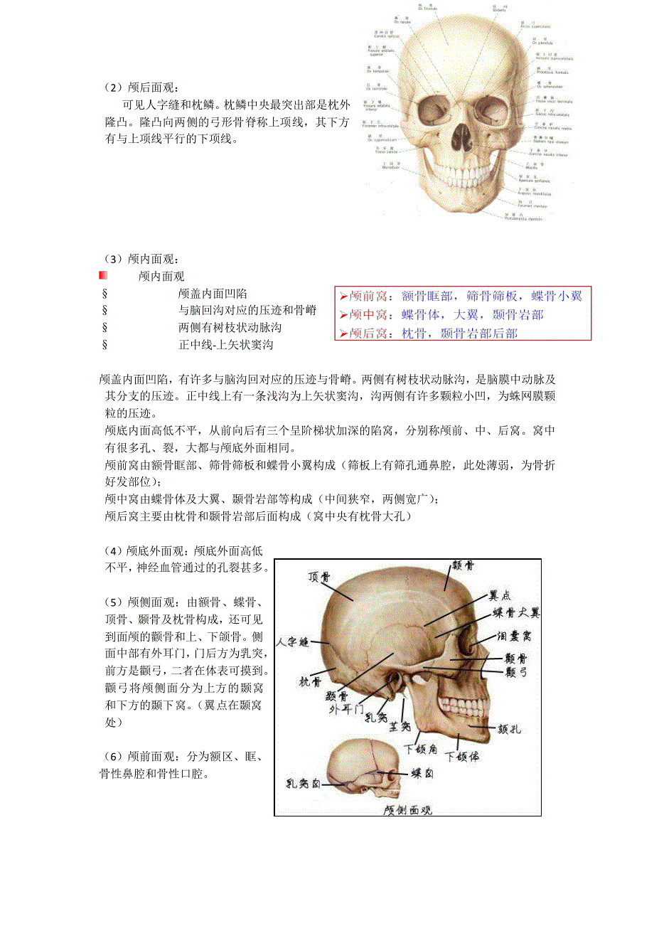 华中科技大学解剖学复习题及答案配图版_第4页