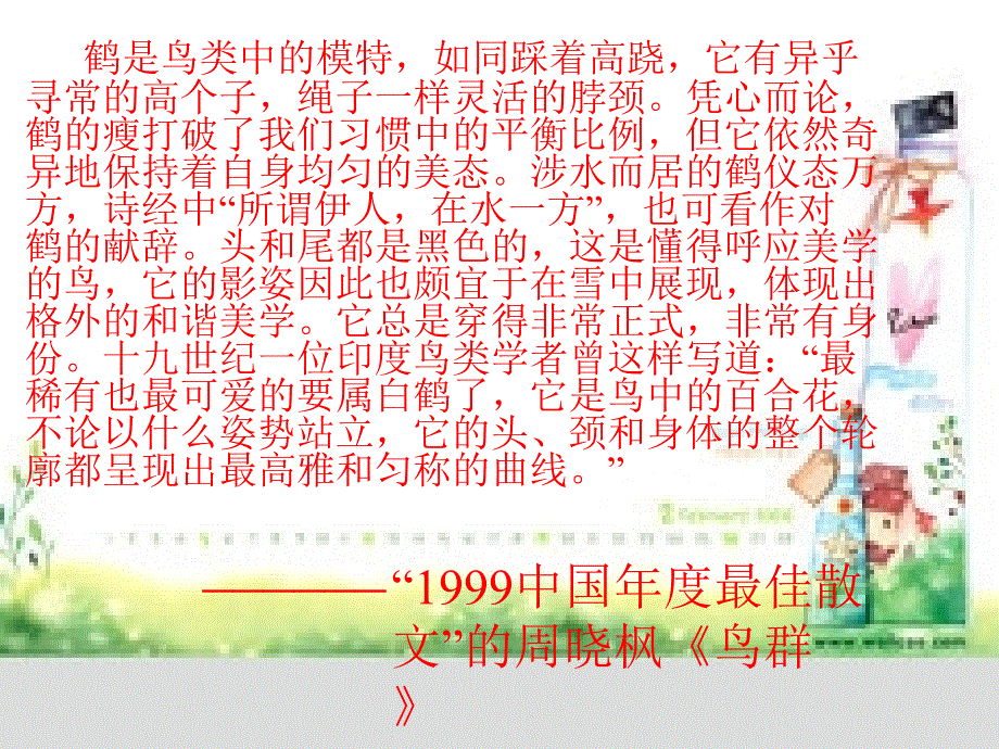 《鹤群》教学课件_第2页