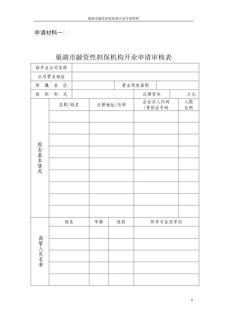 关于巢湖融资担保公司_第4页