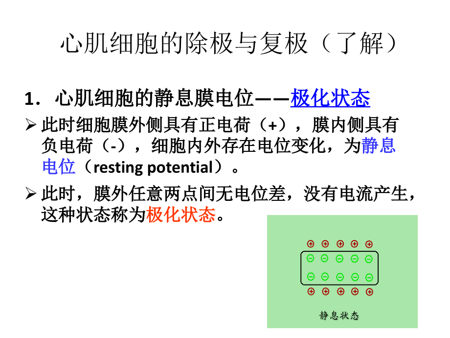 心电图影像学检查_第1页