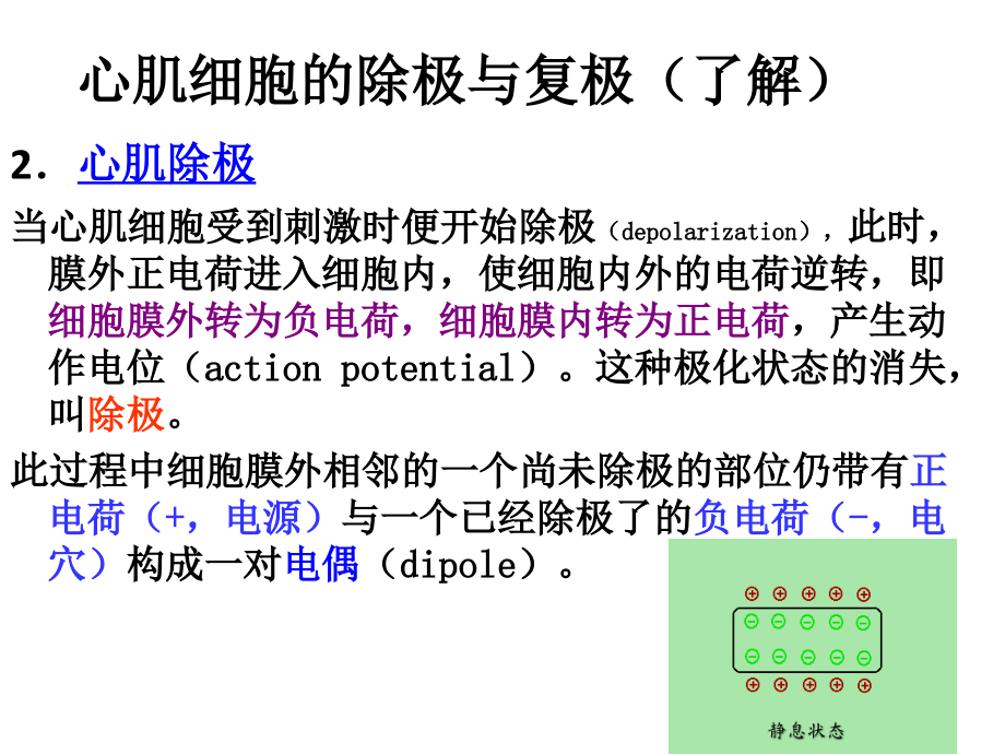 心电图影像学检查_第2页