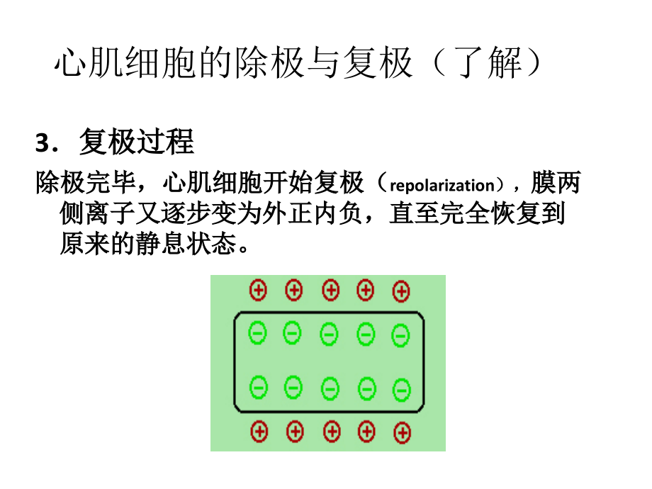 心电图影像学检查_第3页