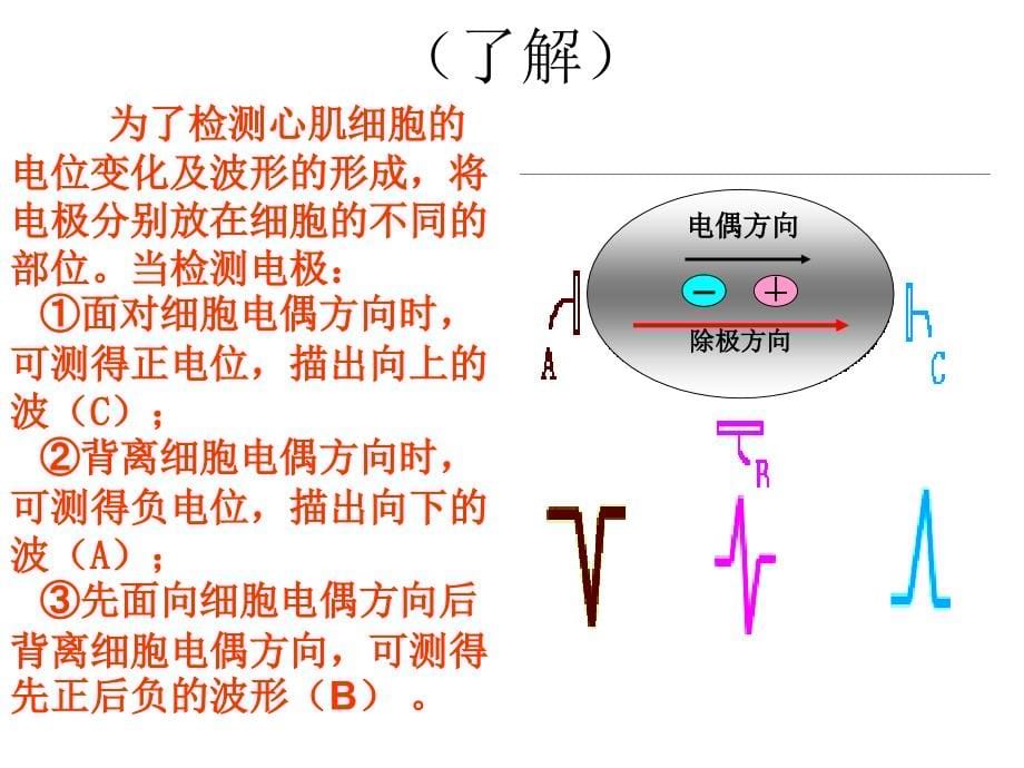 心电图影像学检查_第5页