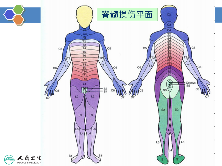 附：推拿常用临床检查_第4页