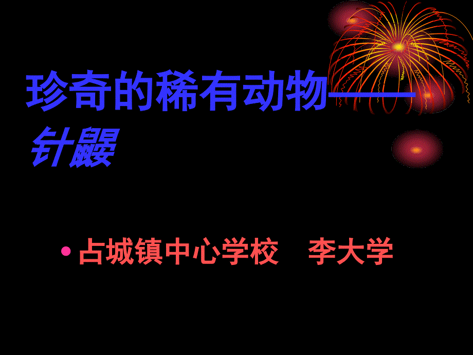 珍奇的稀有动物——针鼹 课件_第1页