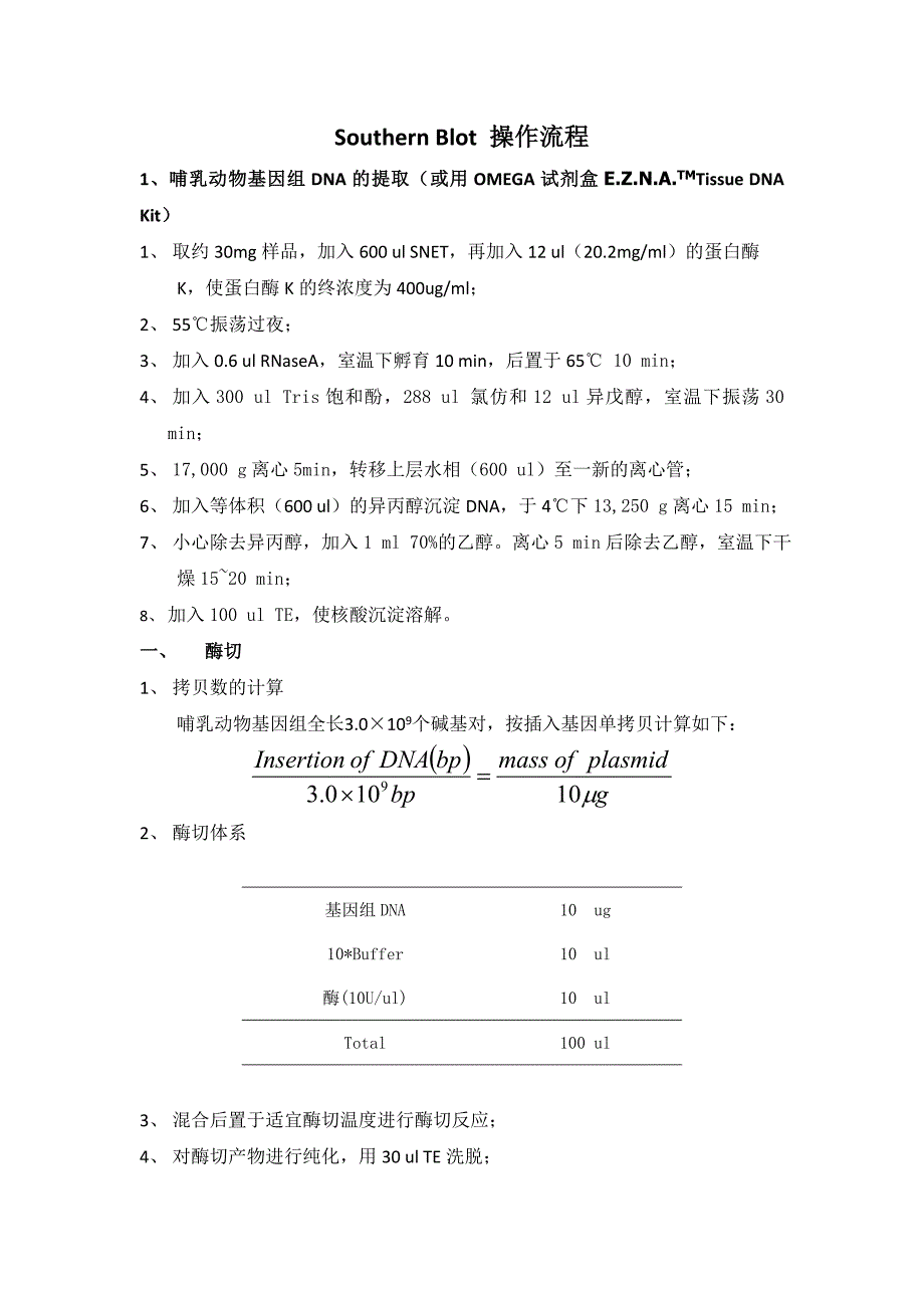 southern blot操作流程_第1页