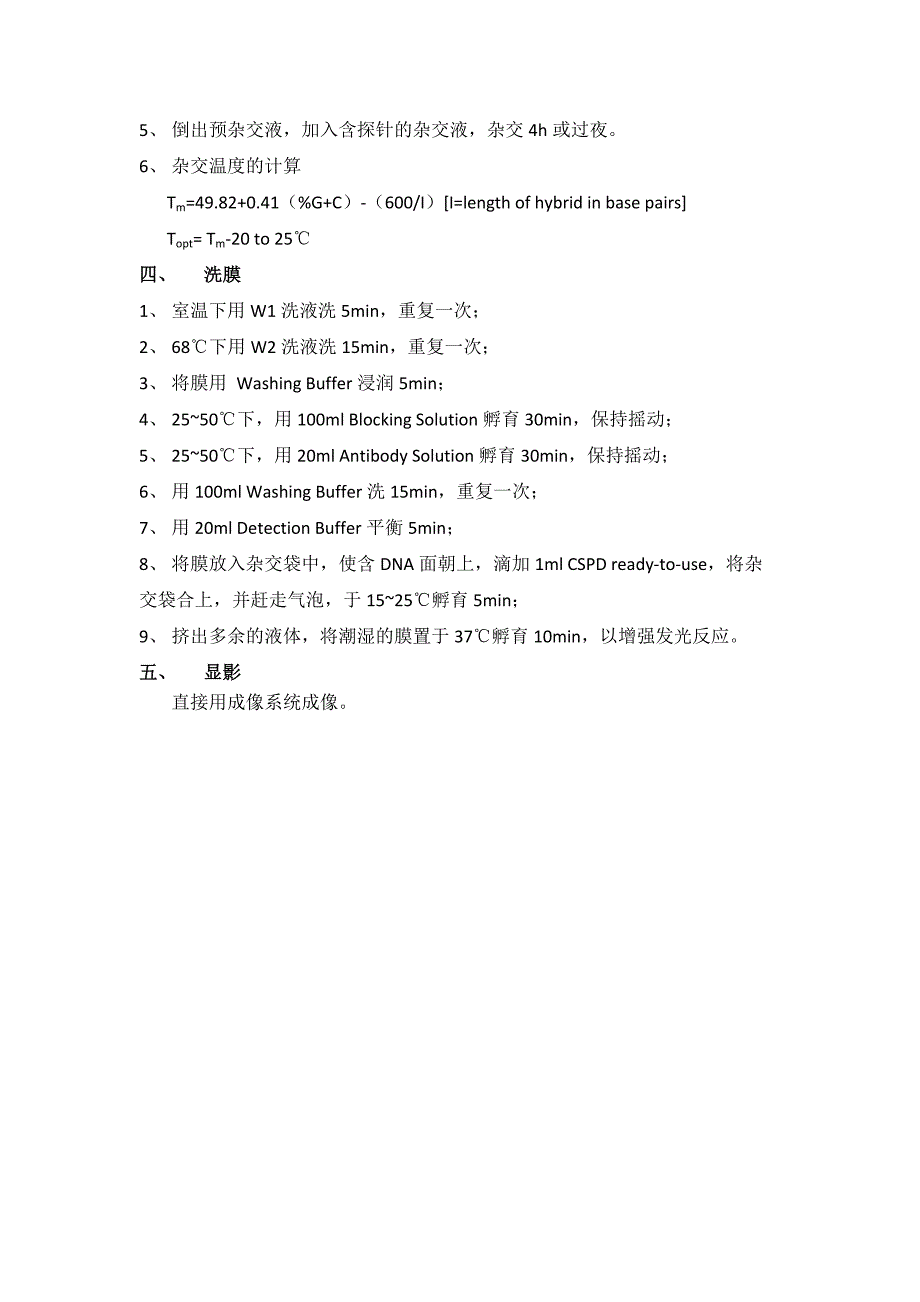 southern blot操作流程_第3页