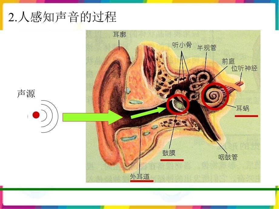 苏教版四年级科学上册_第5页