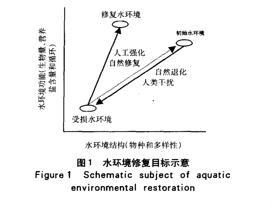 水体修复技术 - 副本　_第3页