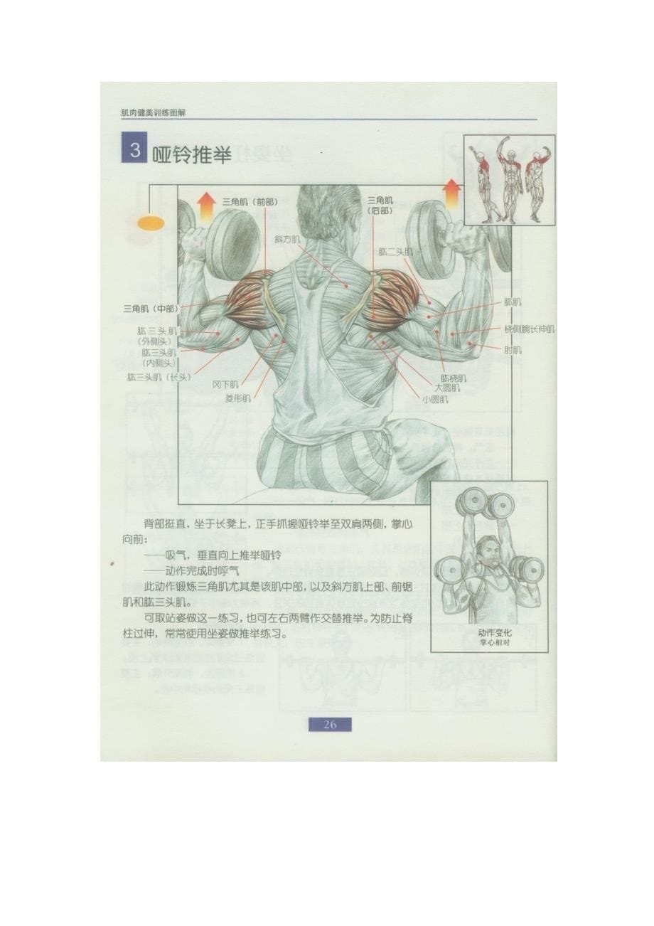 哑铃锻炼的方法_第5页