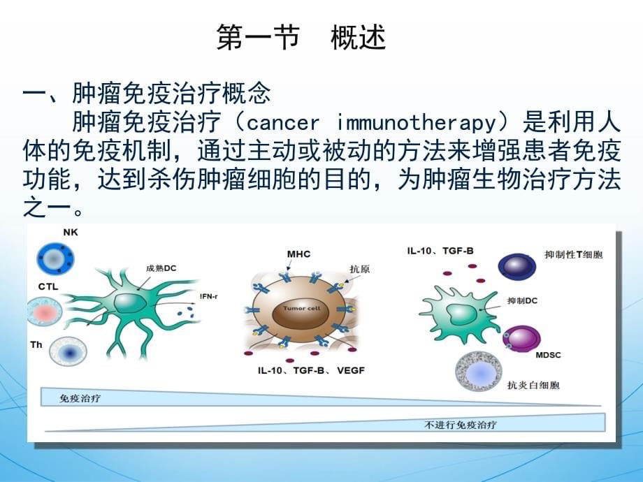 肿瘤生物免疫治疗_第5页