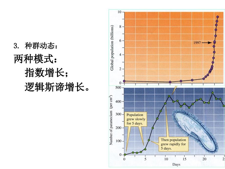 种群、人口与发展_第4页