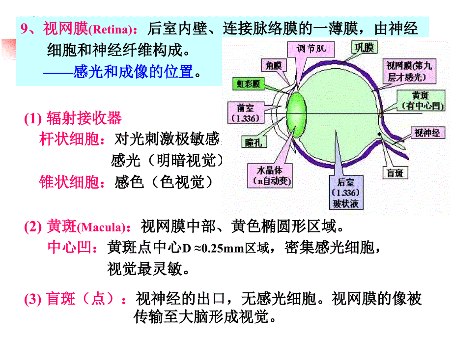 工程光学典型光学系统_第4页