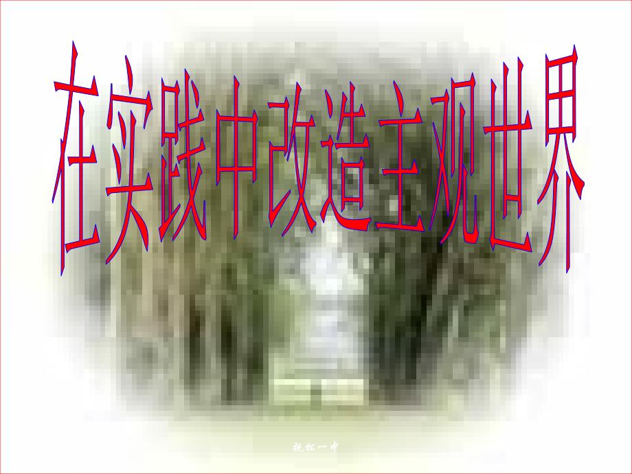 在实践中改造主观世界_第1页