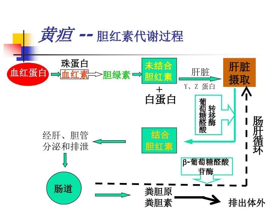 新生儿黄疸新进展_第5页