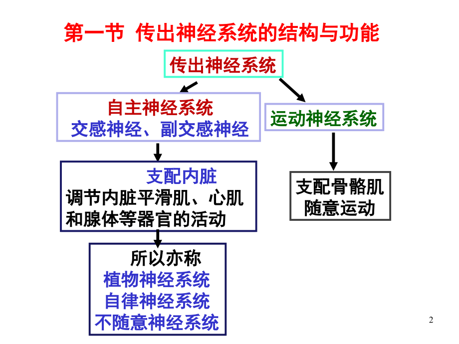 传出、局麻药理_第2页