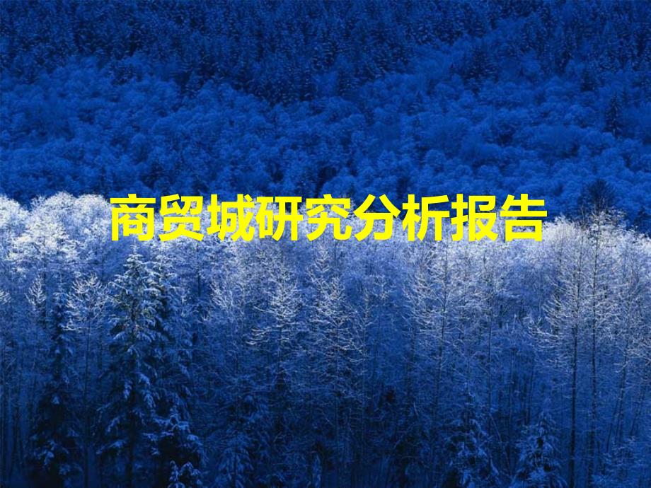 商贸城研究分析报告_第1页