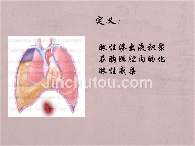 外科学脓胸_第3页