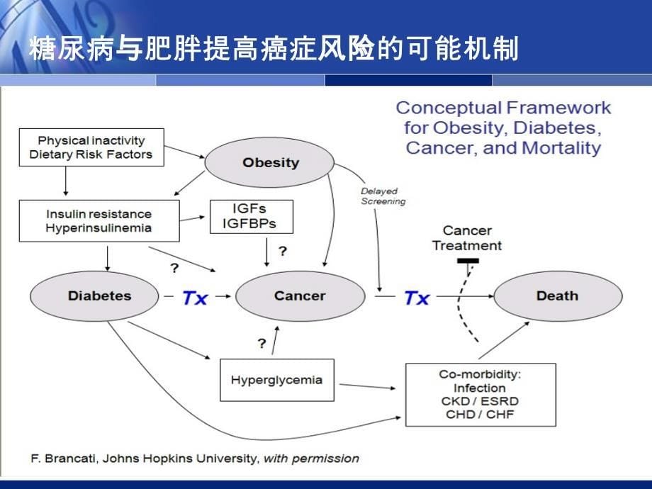 糖尿病与肿瘤(权威分析)_第5页