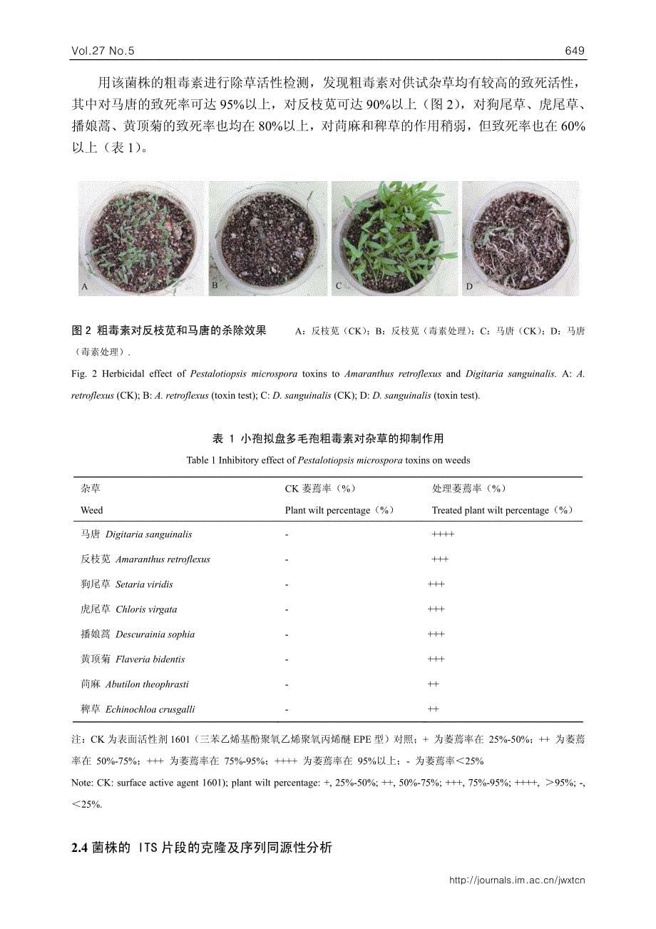 一株具有高除草活性的真菌菌株_第5页