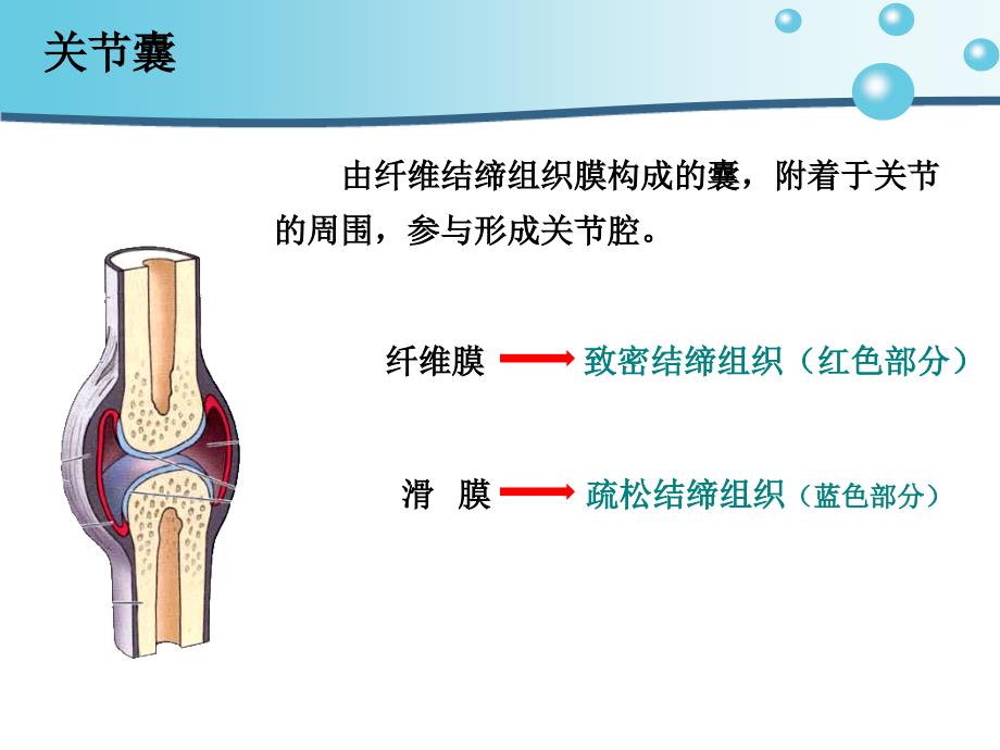 肩关节脱位病人的护理_第3页