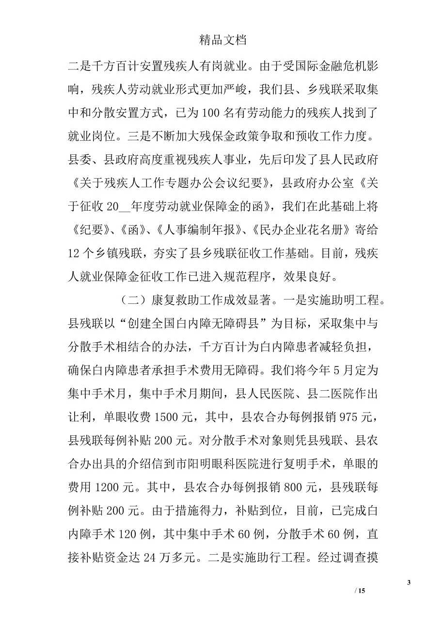 残联工作总结_第3页