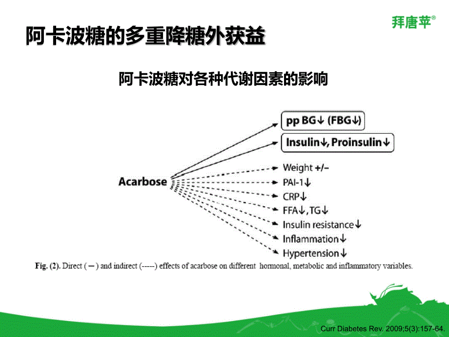 从口服降糖药阿卡波糖看降糖外获益_第4页