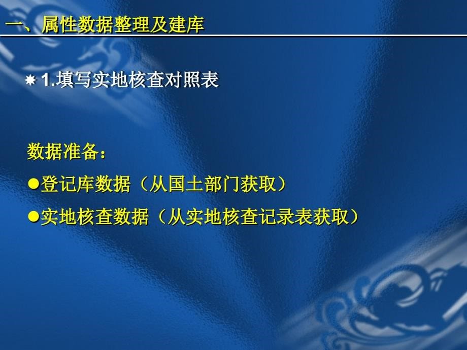 全国矿业权实地核查数据整理数据库建设(林燕)_第5页