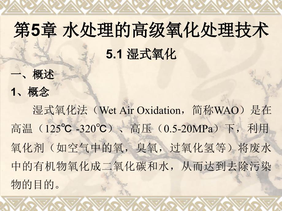 当代水处理技术湿式氧化_第1页
