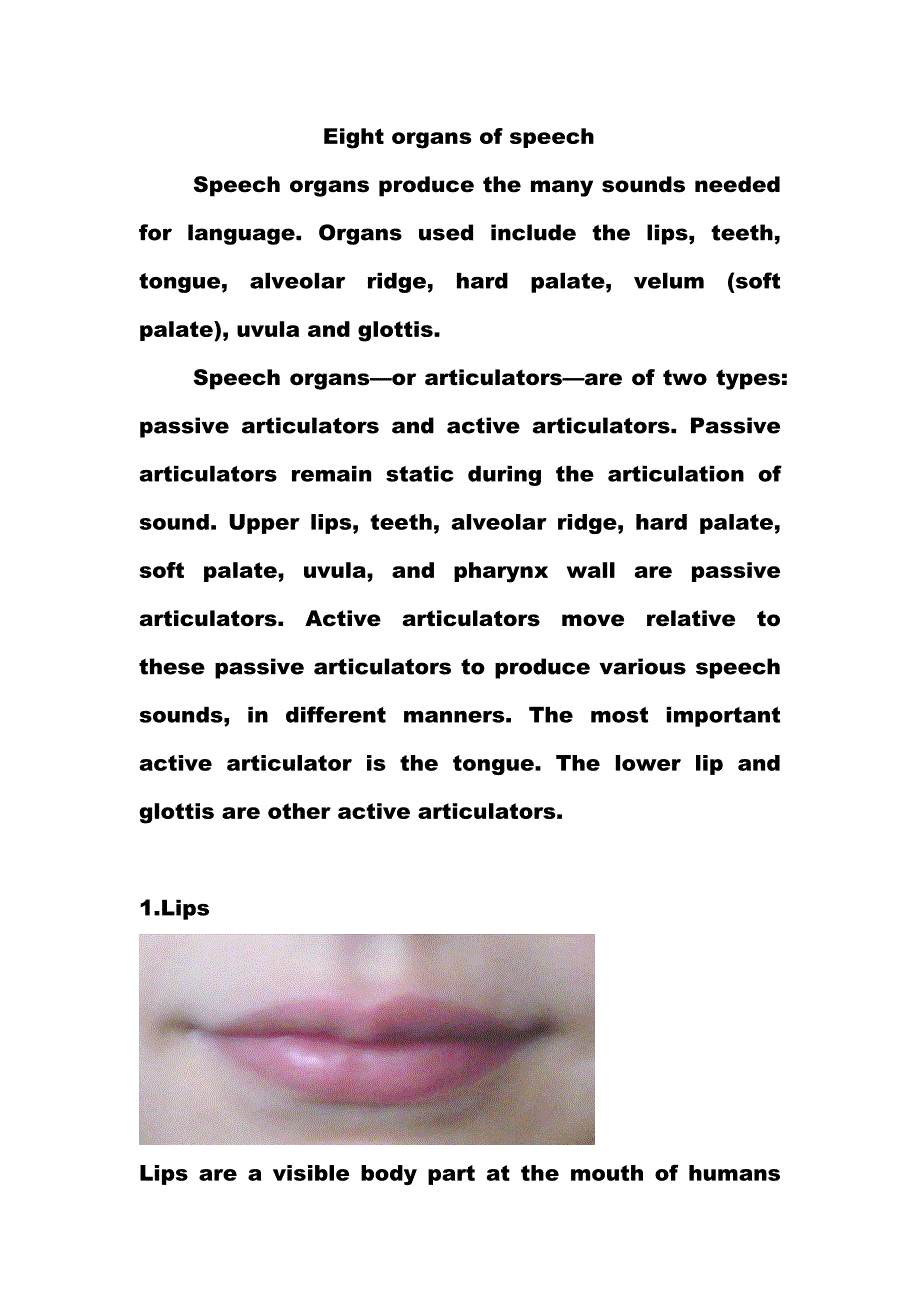 the organs of speech  发音器官_第1页