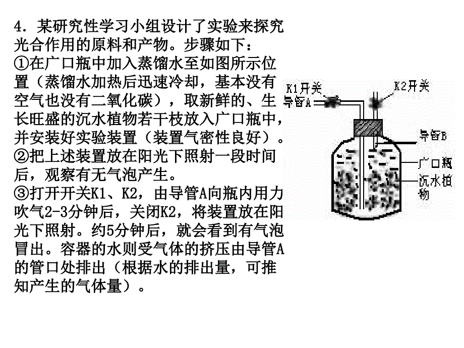 植物光合作用专题复习_第4页