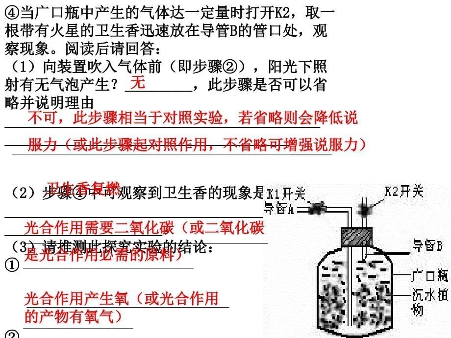 植物光合作用专题复习_第5页