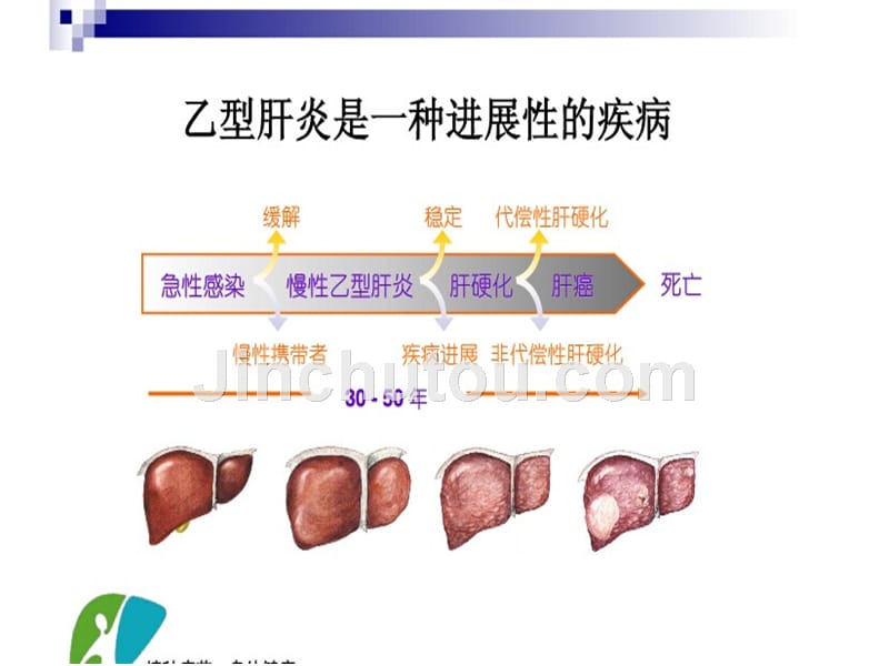 乙肝李如然_第3页