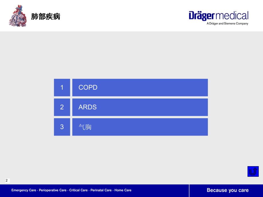 呼吸系统及肺部疾病_第2页