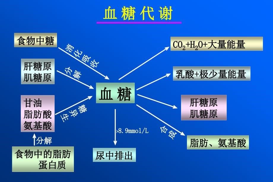 糖尿病病理生理学课件_第5页