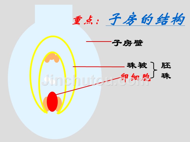 八年级生物下册 植物的生殖_第4页