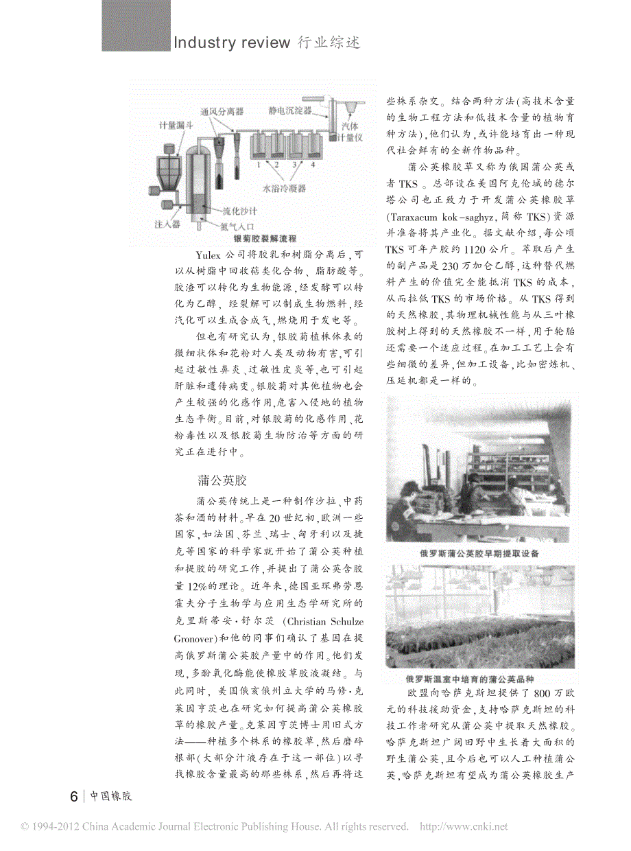 国外生物橡胶资源开发动态_王凤菊_第3页