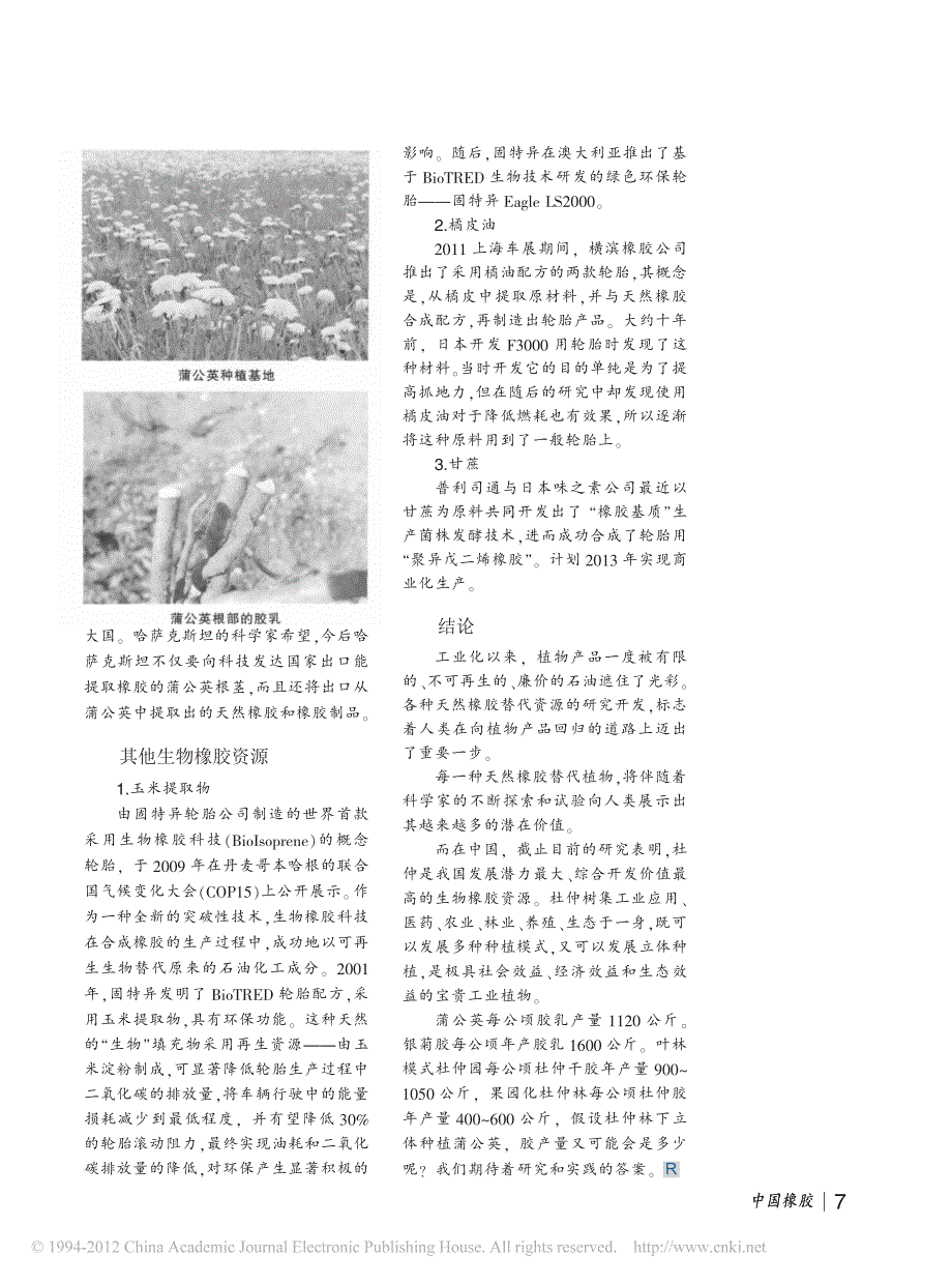 国外生物橡胶资源开发动态_王凤菊_第4页