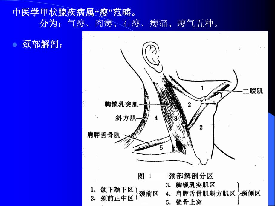 甲状腺疾病讲稿_第2页