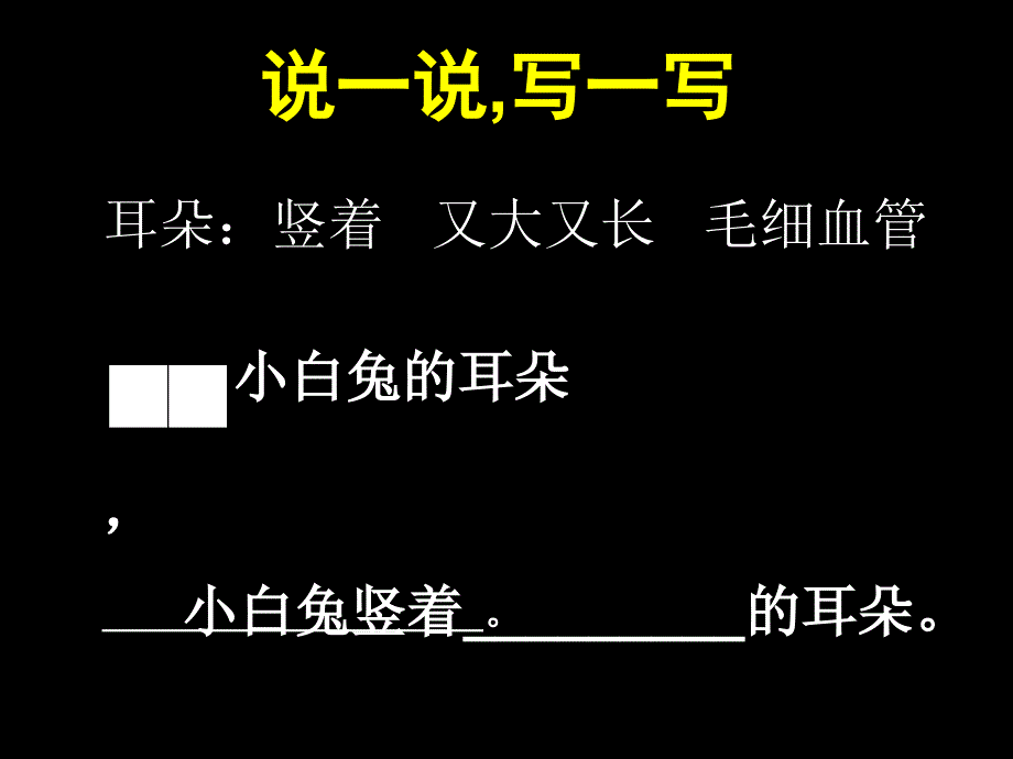 二年级(观察与表达)可爱的小动物(指导观察)_第3页