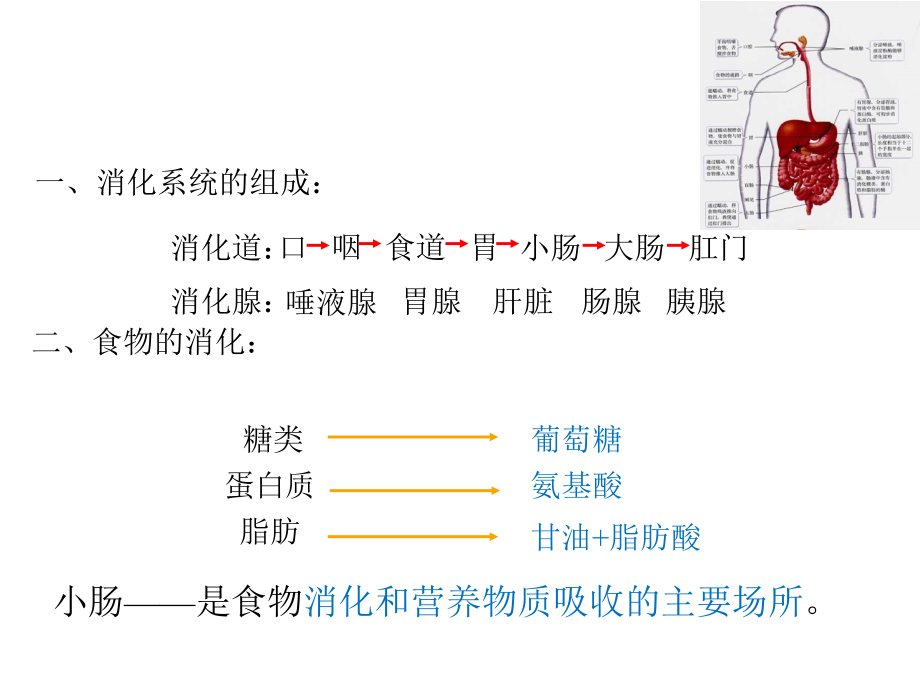 关注合理营养与食品安全_第2页