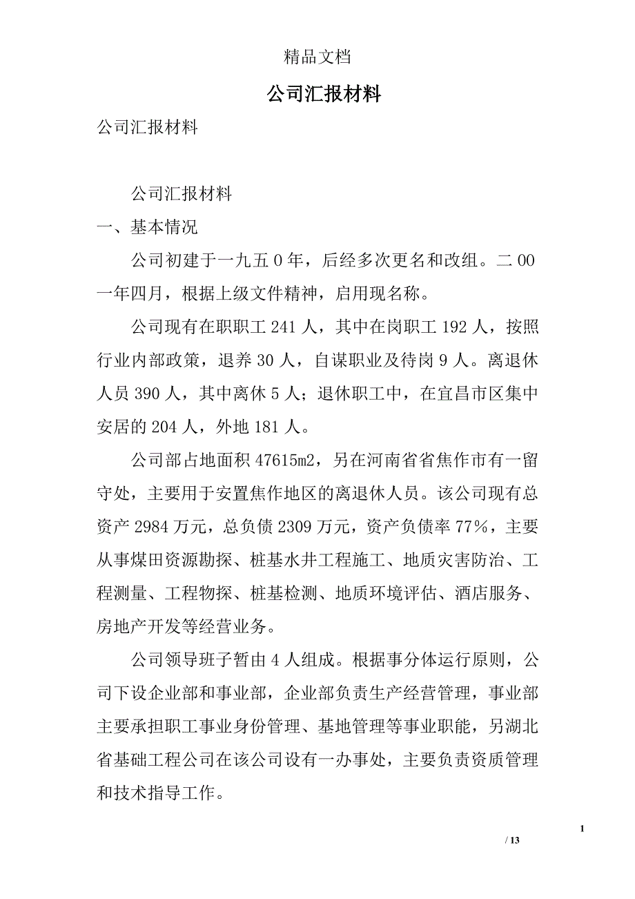 公司汇报材料_第1页