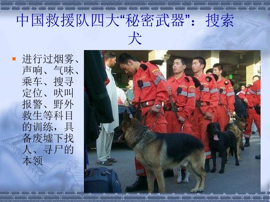 中国国际救援队，真棒PPT优秀课件 人教版_第4页