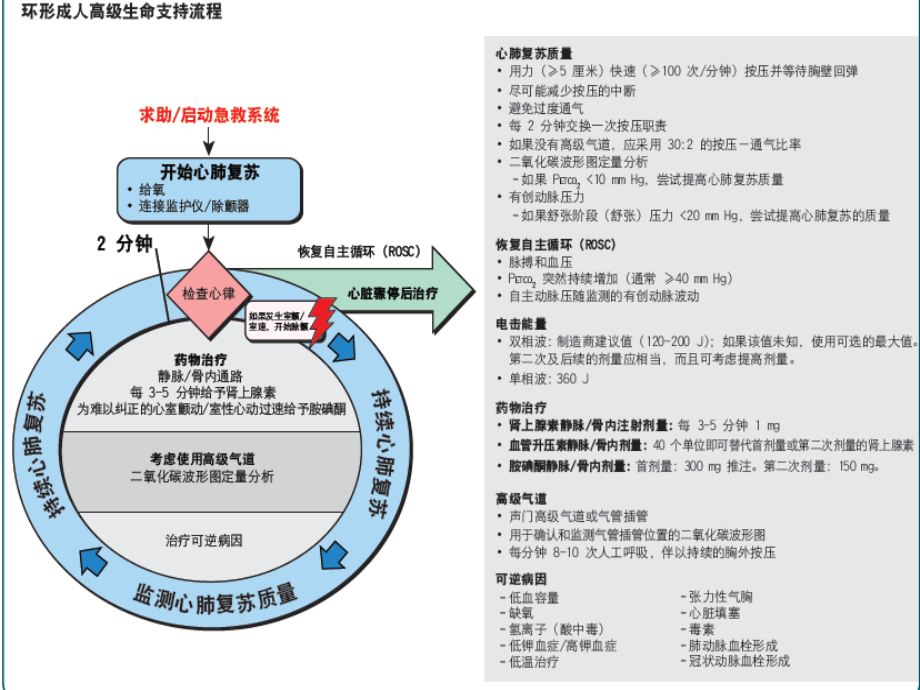 全科医生懂专科事_第3页